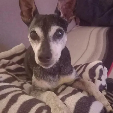 Engelbert Hipp Apartamento Seeg