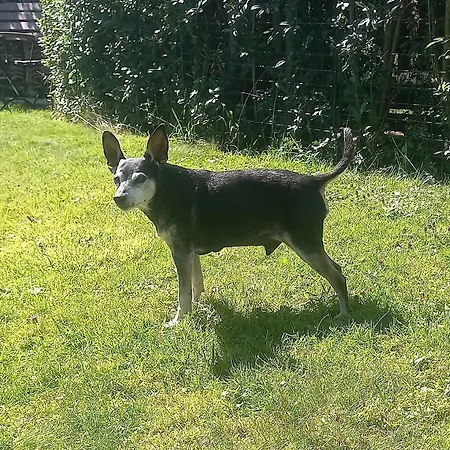 Apartamento Engelbert Hipp Seeg